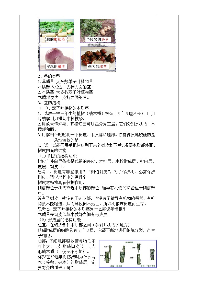 浙教版科学八年级下册 第4章 第4节 植物的茎与物质运输 (第1课时)课件PPT+教案+练习03