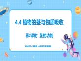 浙教版科学八年级下册 第4章 第4节 植物的茎与物质运输 (第2课时)课件PPT+教案+练习