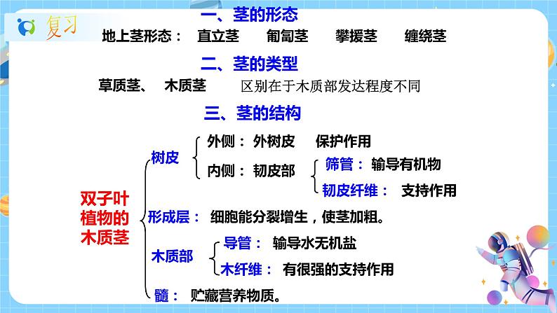 浙教版科学八年级下册 第4章 第4节 植物的茎与物质运输 (第2课时)课件PPT+教案+练习02