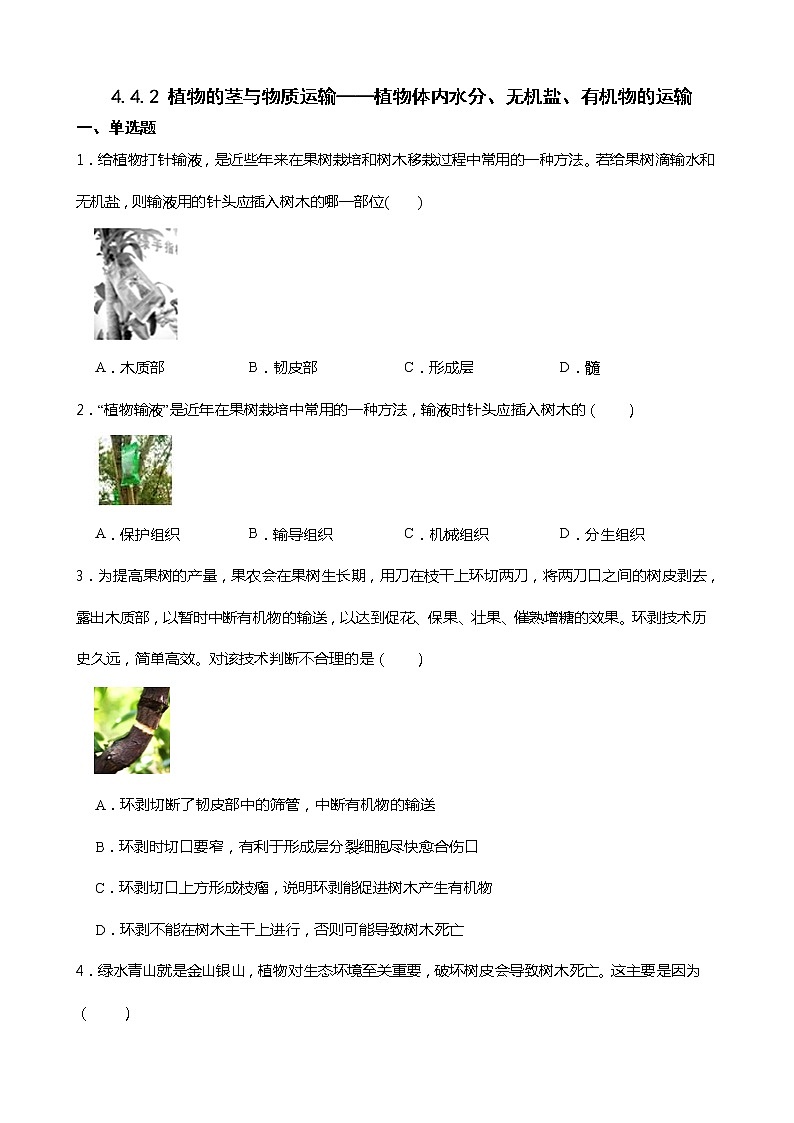 浙教版科学八年级下册 第4章 第4节 植物的茎与物质运输 (第2课时)课件PPT+教案+练习01