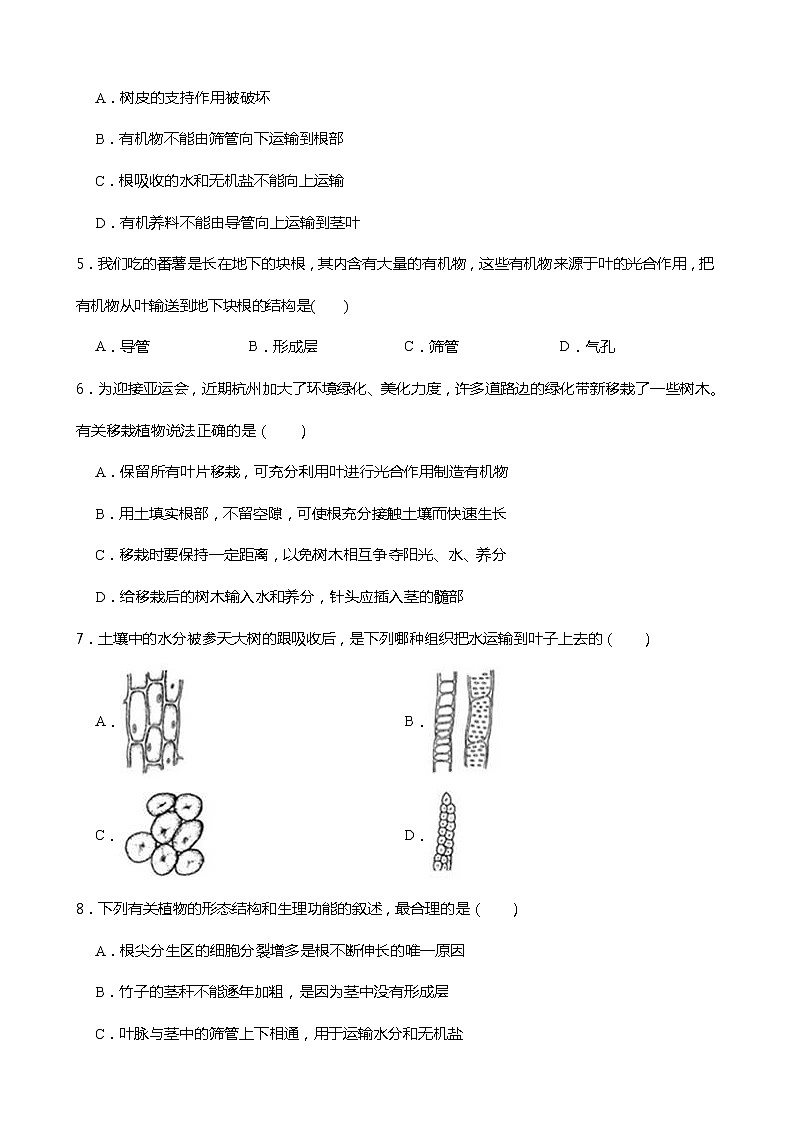 浙教版科学八年级下册 第4章 第4节 植物的茎与物质运输 (第2课时)课件PPT+教案+练习02