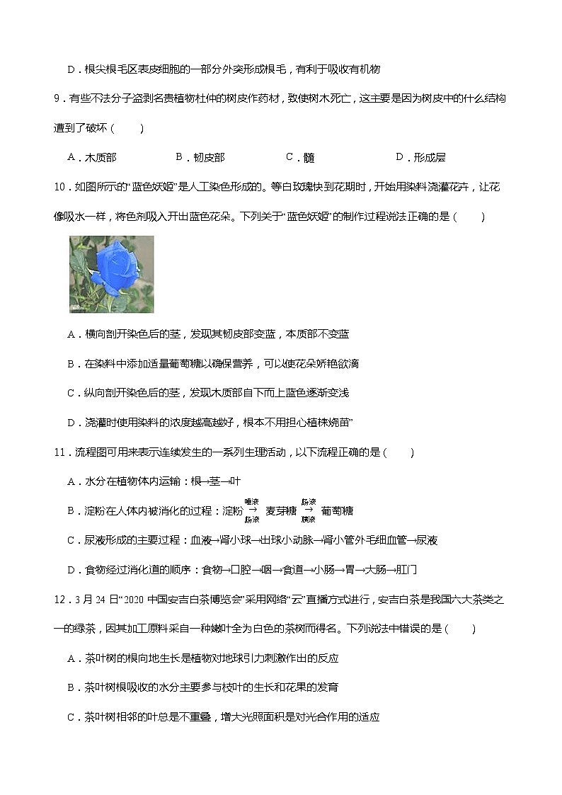 浙教版科学八年级下册 第4章 第4节 植物的茎与物质运输 (第2课时)课件PPT+教案+练习03