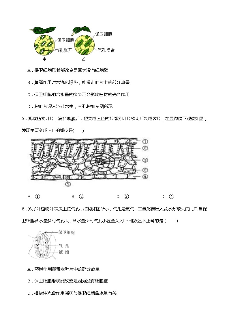 浙教版科学八年级下册 第4章 第5节 植物的叶与蒸腾作用课件PPT+教案+练习02