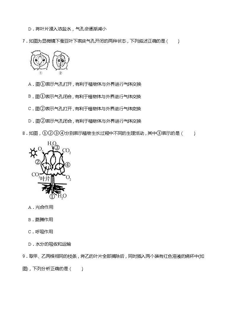 浙教版科学八年级下册 第4章 第5节 植物的叶与蒸腾作用课件PPT+教案+练习03