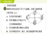 浙教版七年级下册科学 第4章 阶段专项复习(七) 习题课件