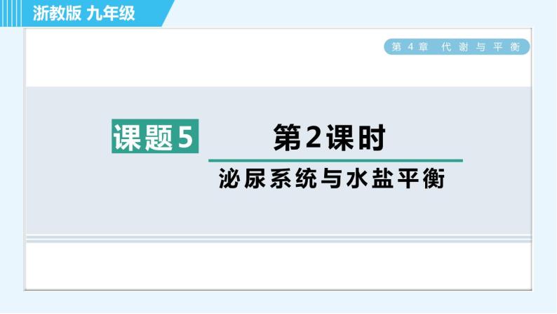 浙教版九年级上册科学 第4章 4.5.2泌尿系统与水盐平衡 习题课件01