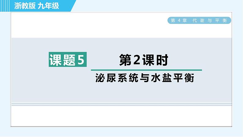 浙教版九年级上册科学 第4章 4.5.2泌尿系统与水盐平衡 习题课件01