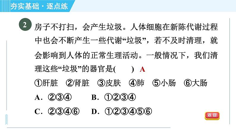 浙教版九年级上册科学 第4章 4.5.2泌尿系统与水盐平衡 习题课件04