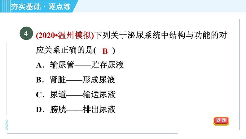 浙教版九年级上册科学 第4章 4.5.2泌尿系统与水盐平衡 习题课件06