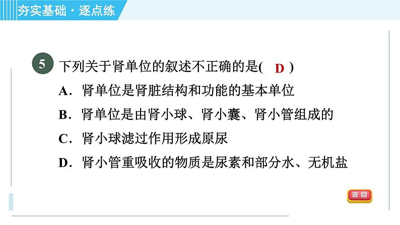 浙教版九年级上册科学 第4章 4.5.2泌尿系统与水盐平衡 习题课件07