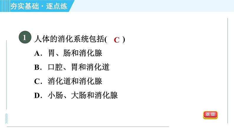 浙教版九年级上册科学 第4章 4.2.1消化系统的组成 习题课件第3页