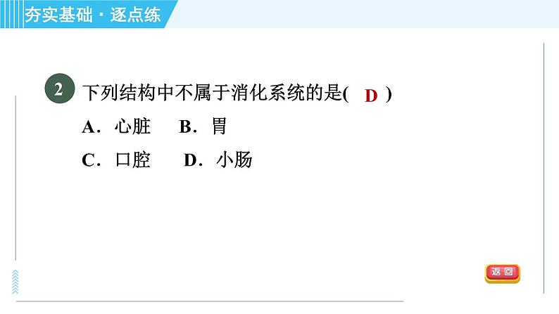 浙教版九年级上册科学 第4章 4.2.1消化系统的组成 习题课件第4页