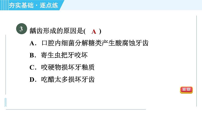 浙教版九年级上册科学 第4章 4.2.1消化系统的组成 习题课件第5页