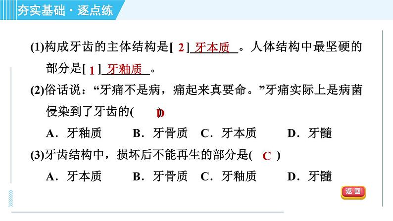 浙教版九年级上册科学 第4章 4.2.1消化系统的组成 习题课件第7页