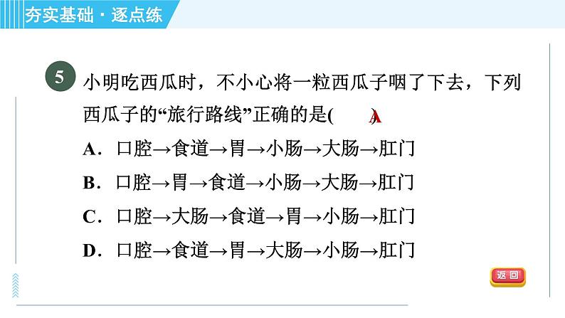 浙教版九年级上册科学 第4章 4.2.1消化系统的组成 习题课件第8页