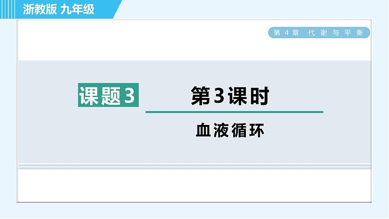 浙教版九年级上册科学 第4章 4.3.3血液循环 习题课件01