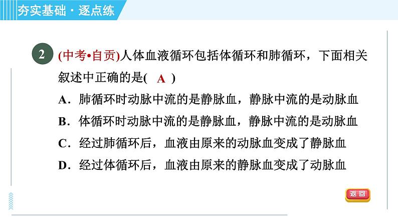 浙教版九年级上册科学 第4章 4.3.3血液循环 习题课件05