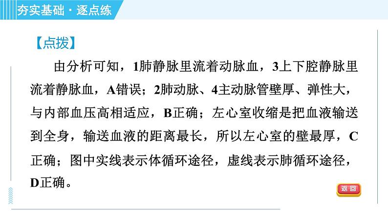 浙教版九年级上册科学 第4章 4.3.3血液循环 习题课件08