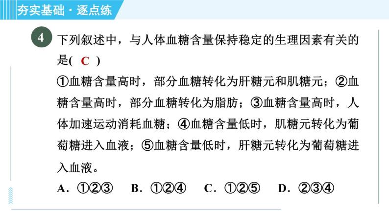 浙教版九年级上册科学 第4章 4.5.1营养物质的利用 习题课件06