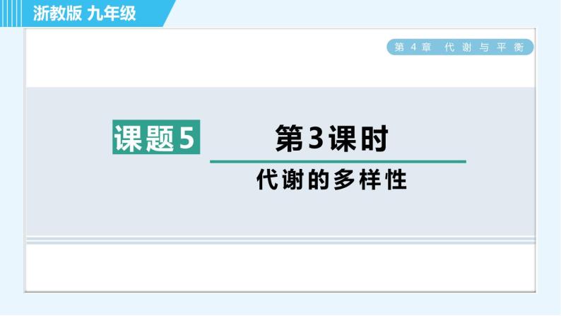 浙教版九年级上册科学 第4章 4.5.3代谢的多样性 习题课件01