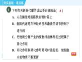 浙教版九年级上册科学 第4章 4.5.3代谢的多样性 习题课件