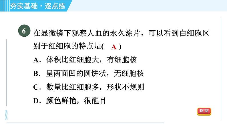 浙教版九年级上册科学 第4章 4.3.1血　液 习题课件08