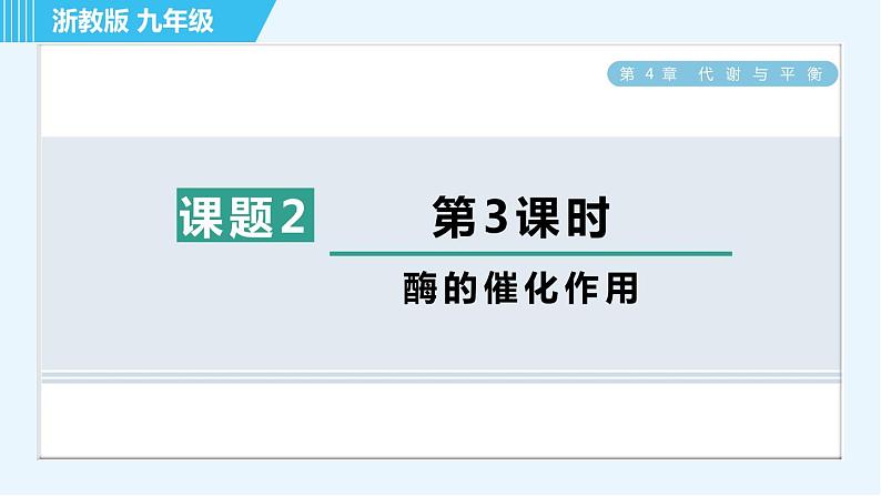 浙教版九年级上册科学 第4章 4.2.3酶的催化作用 习题课件01