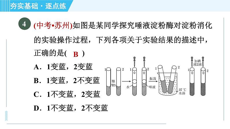 浙教版九年级上册科学 第4章 4.2.3酶的催化作用 习题课件06