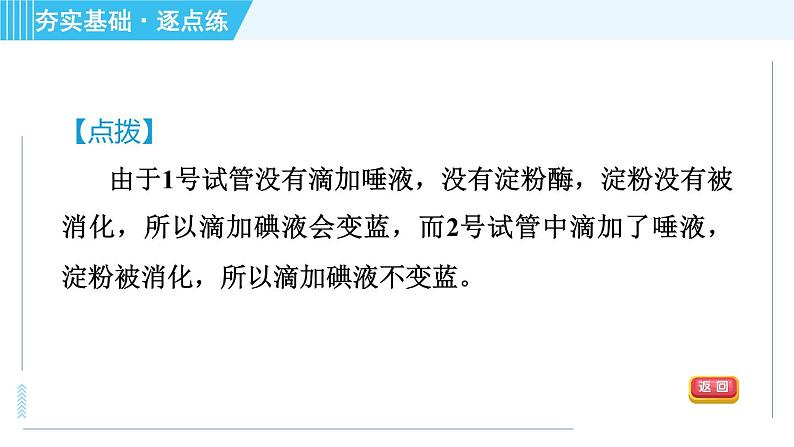 浙教版九年级上册科学 第4章 4.2.3酶的催化作用 习题课件07