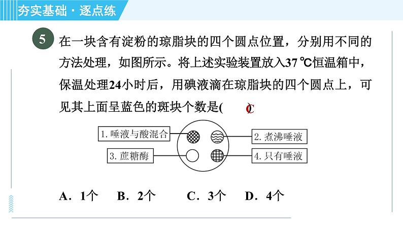 浙教版九年级上册科学 第4章 4.2.3酶的催化作用 习题课件08