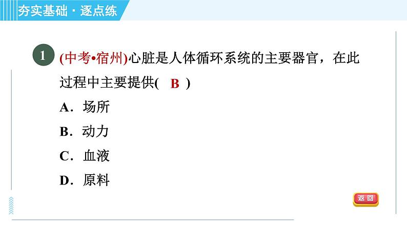 浙教版九年级上册科学 第4章 4.3.2心脏和血管 习题课件03