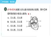 浙教版九年级上册科学 第4章 4.3.2心脏和血管 习题课件