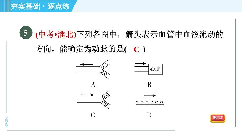 浙教版九年级上册科学 第4章 4.3.2心脏和血管 习题课件08