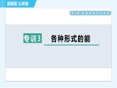 浙教版九年级上册科学 第3章 专项训练三：各种形式的能 习题课件