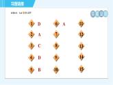浙教版九年级上册科学 第3章 专项训练三：各种形式的能 习题课件