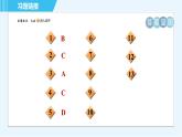 浙教版九年级上册科学 第3章 专项训练一：简单机械 习题课件