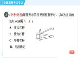 浙教版九年级上册科学 第3章 专项训练一：简单机械 习题课件