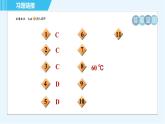 浙教版九年级上册科学 第4章 专项训练：相关重要的生物实验 习题课件