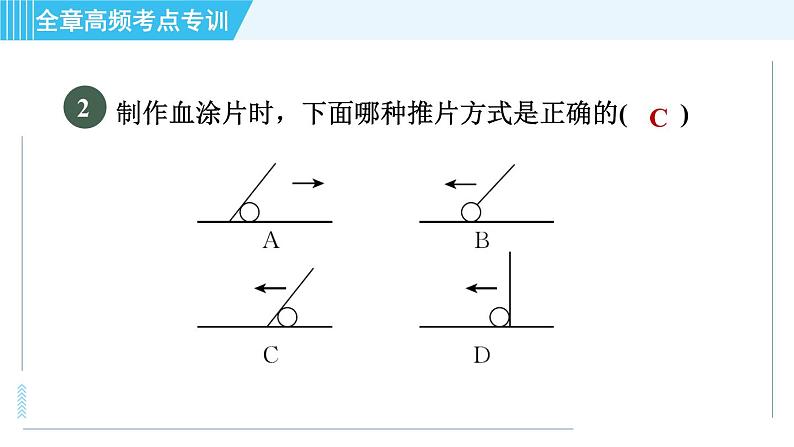 浙教版九年级上册科学 第4章 专项训练：相关重要的生物实验 习题课件04
