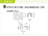 浙教版七年级上册科学 第4章 期末复习专项 专项一 探究题 习题课件