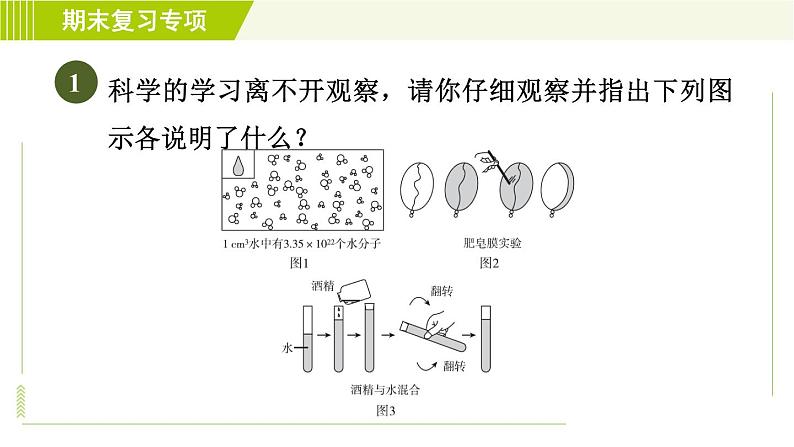 浙教版七年级上册科学 第4章 期末复习专项 专项一 探究题 习题课件第3页