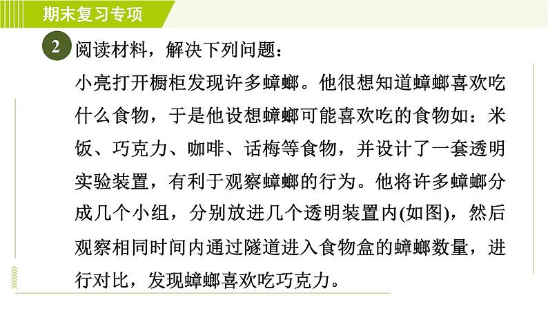 浙教版七年级上册科学 第4章 期末复习专项 专项一 探究题 习题课件第5页