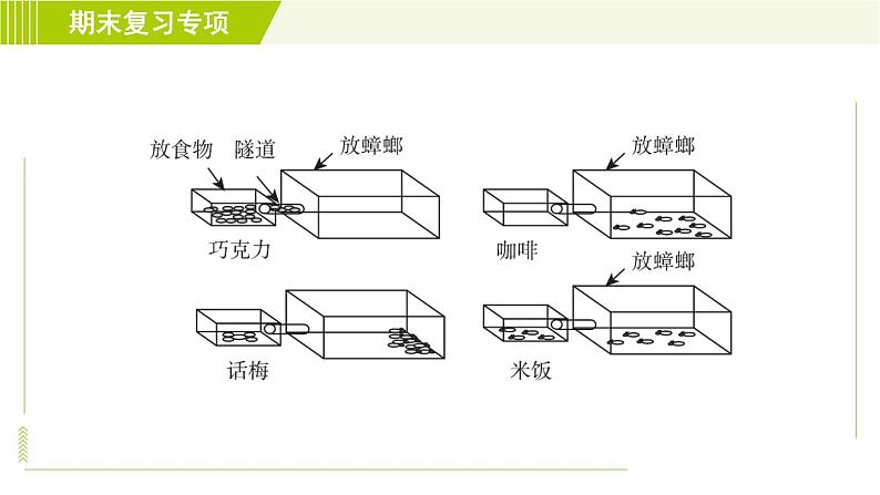 浙教版七年级上册科学 第4章 期末复习专项 专项一 探究题 习题课件第6页