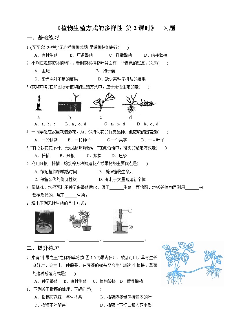 1.5 植物生殖方式的多样性（第2课时）（课件+教案+学案+练习）01
