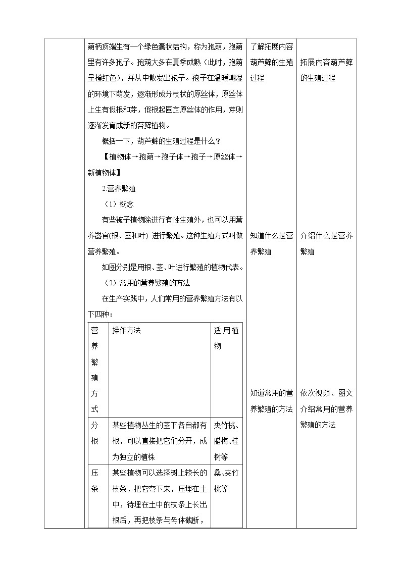 1.5 植物生殖方式的多样性（第2课时）（课件+教案+学案+练习）02