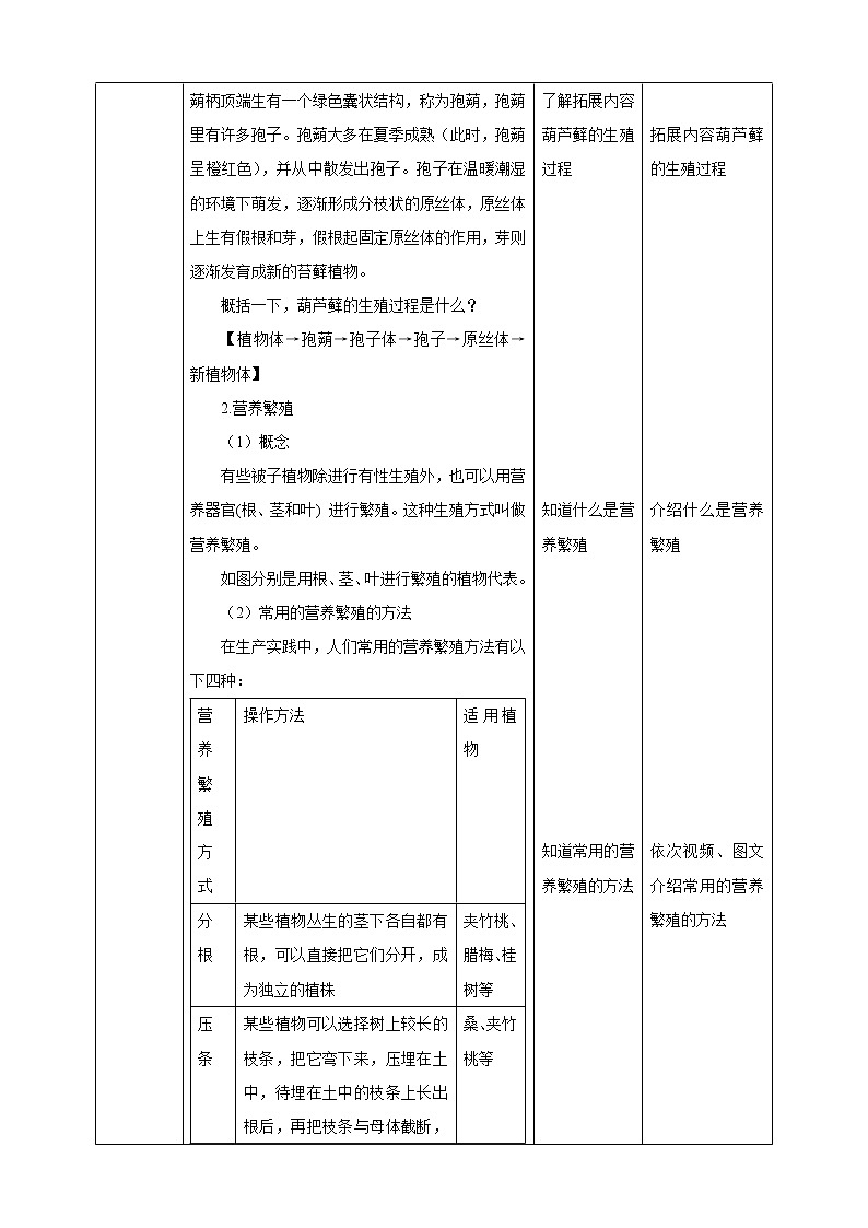 1.5 植物生殖方式的多样性（第2课时）（课件+教案+学案+练习）02