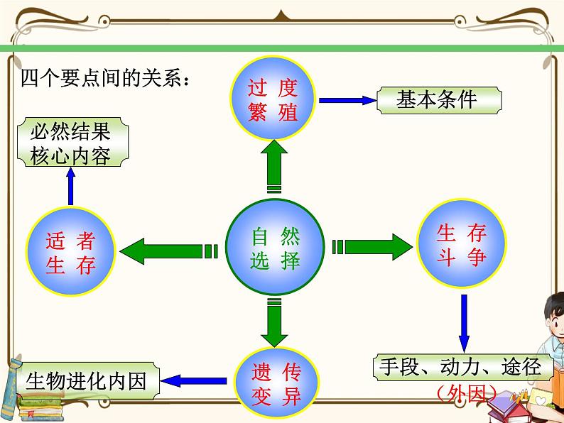 浙教版九年级下册第1章演化的自然—— 第4节  生物的进化（第2课时）课件PPT第7页