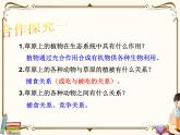 浙教版九年級下冊第2章 生物與環(huán)境——第4節(jié)  生態(tài)系統(tǒng)的結(jié)構(gòu)和功能 （第1課時）課件PPT