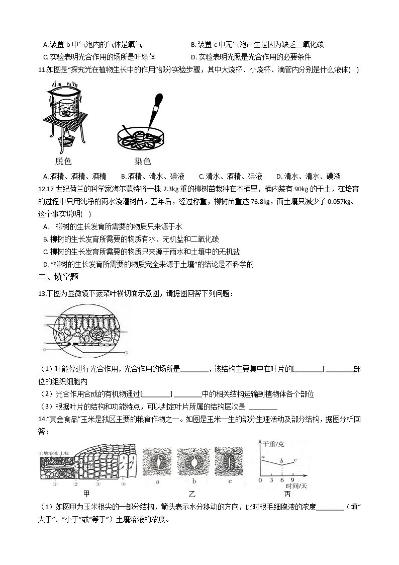 第六节 光合作用学案03