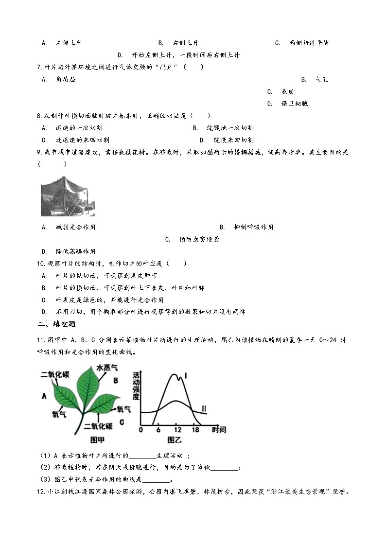 第五节  植物的叶与蒸腾作用学案02